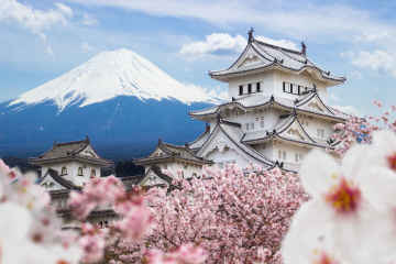 游学
