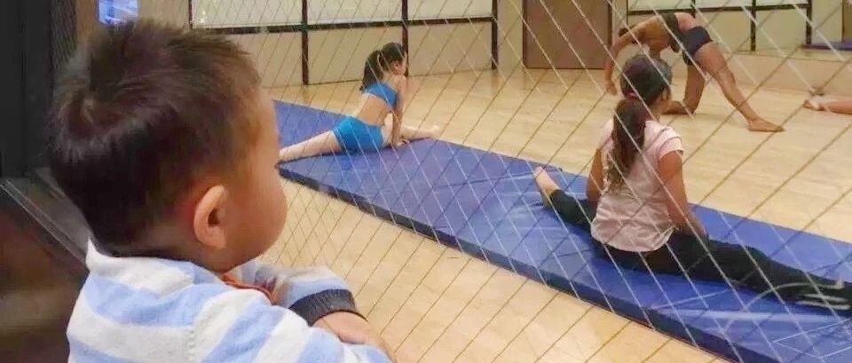 美籍华裔小家庭生活学习经历