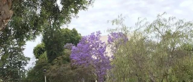 中学生出国游学利弊和国际夏令营分类